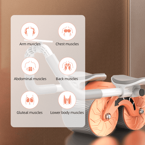 Exercise roller highlighting arm chest abdominal back gluteal and lower body muscles workout